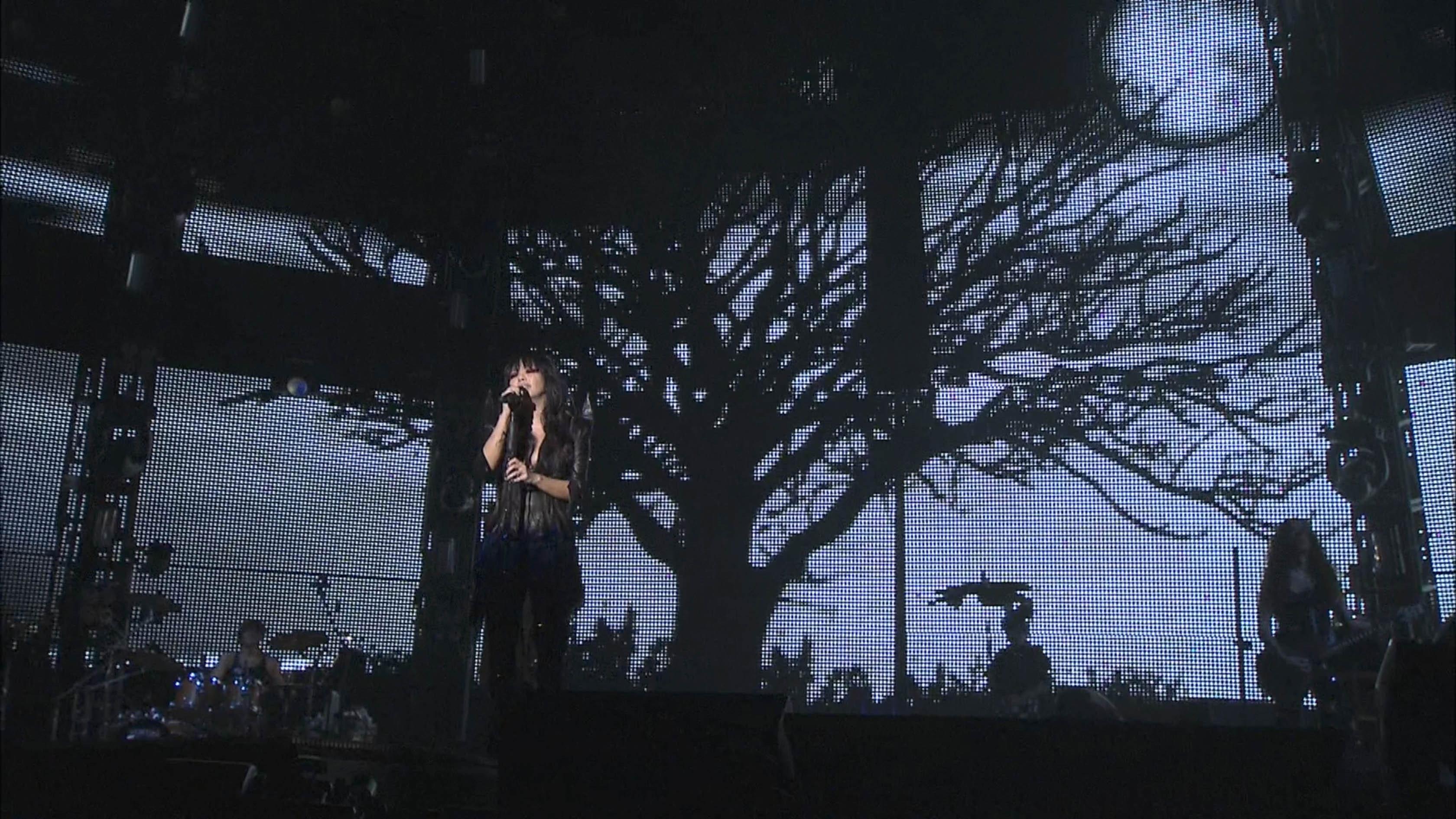 Amit First World Tour Concert Live 2010 movie scene