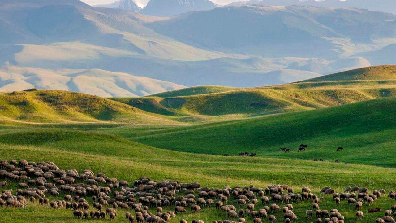 Kasachstan: Sterne, Steppe, Stutenmilch 2020 movie scene