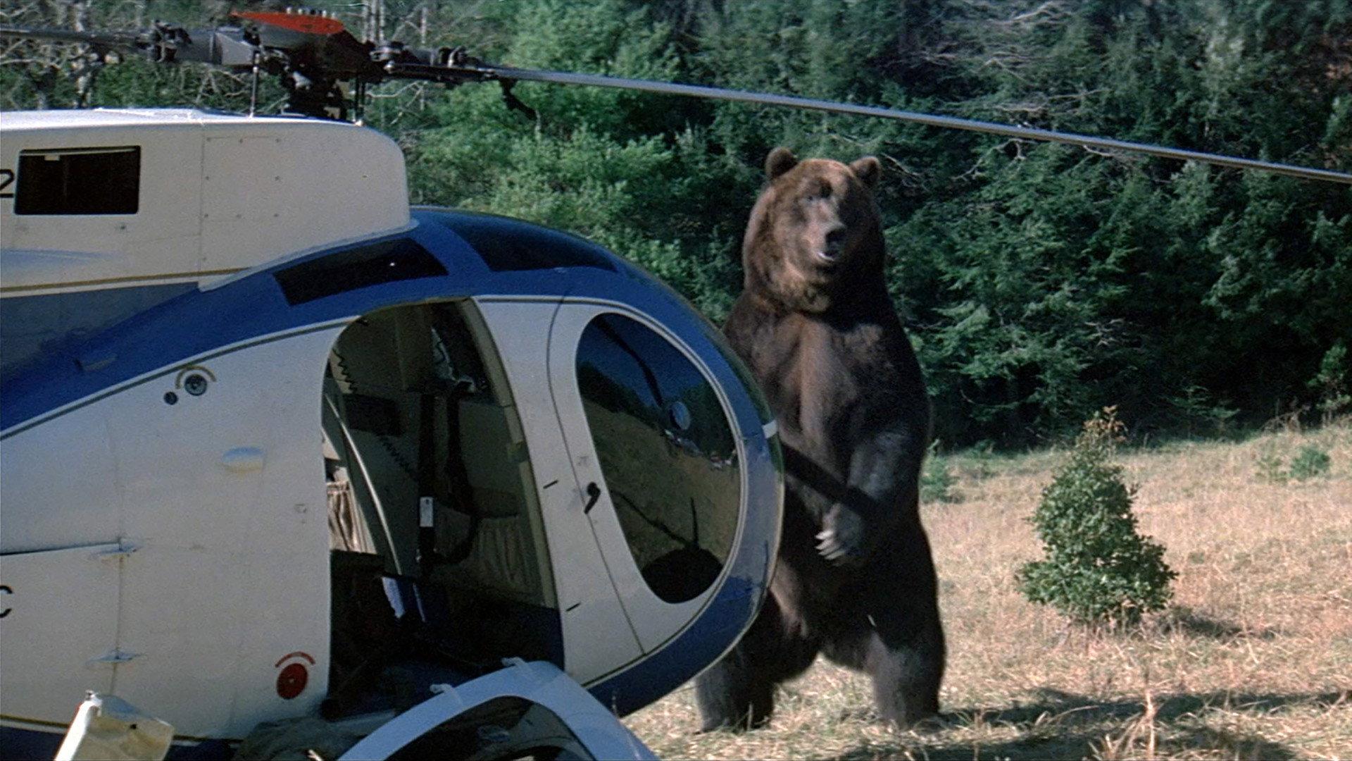 Grizzly 1976 movie scene