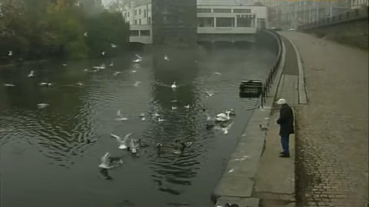Dr. Hrabal 1993 movie scene