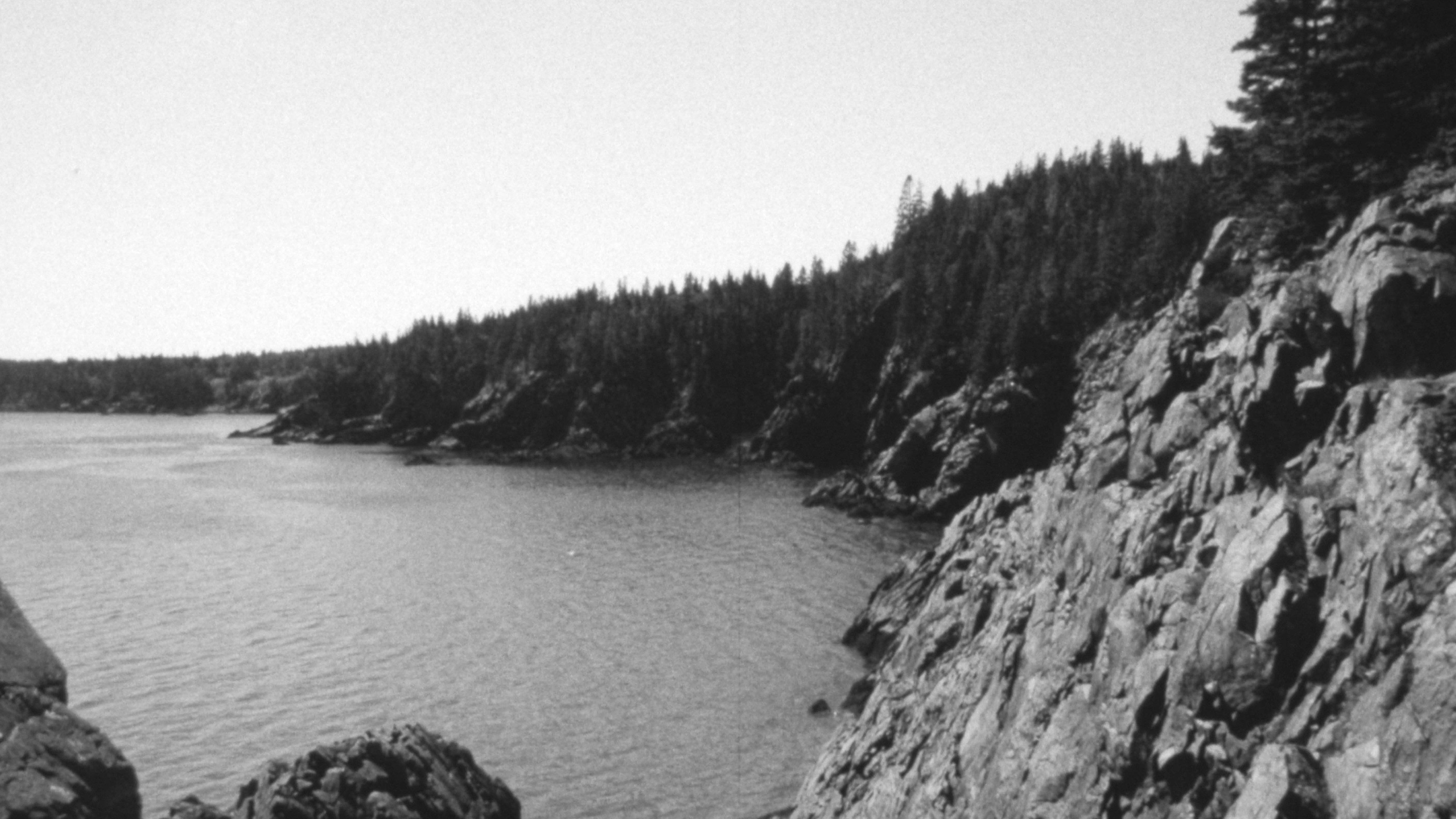 The Forest and The Sea 2024 movie scene