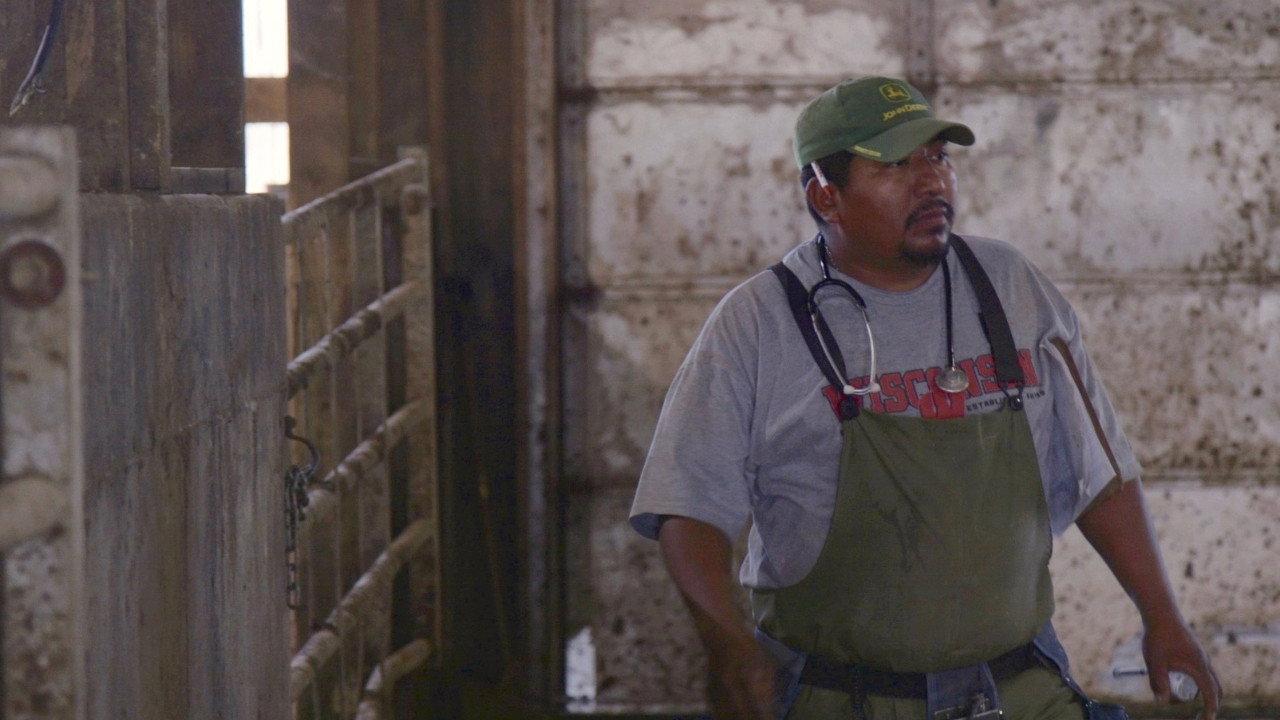Los Lecheros 2017 movie scene