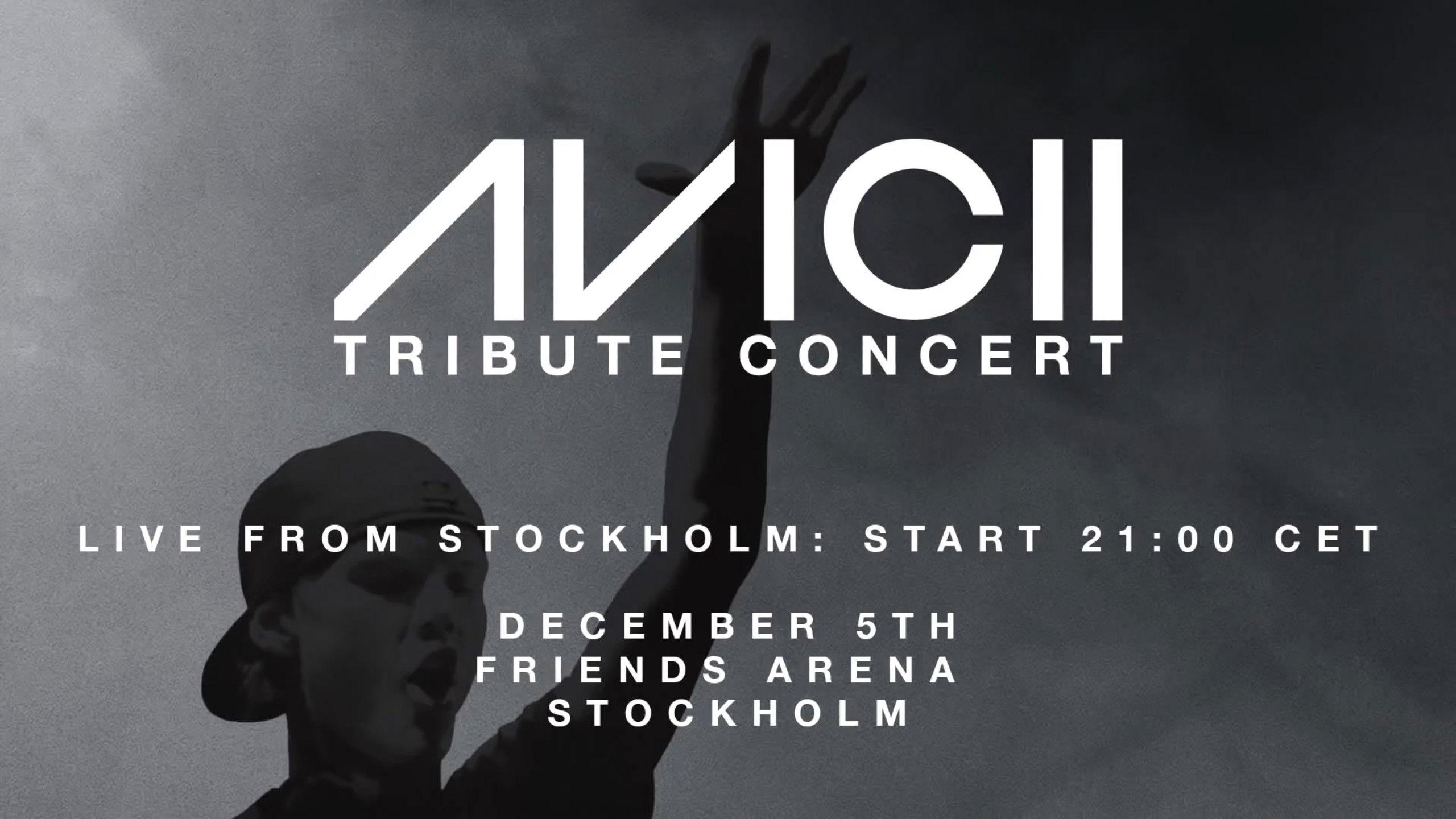 Avicii Tribute Concert - In Loving Memory of Tim Bergling 2019 movie scene