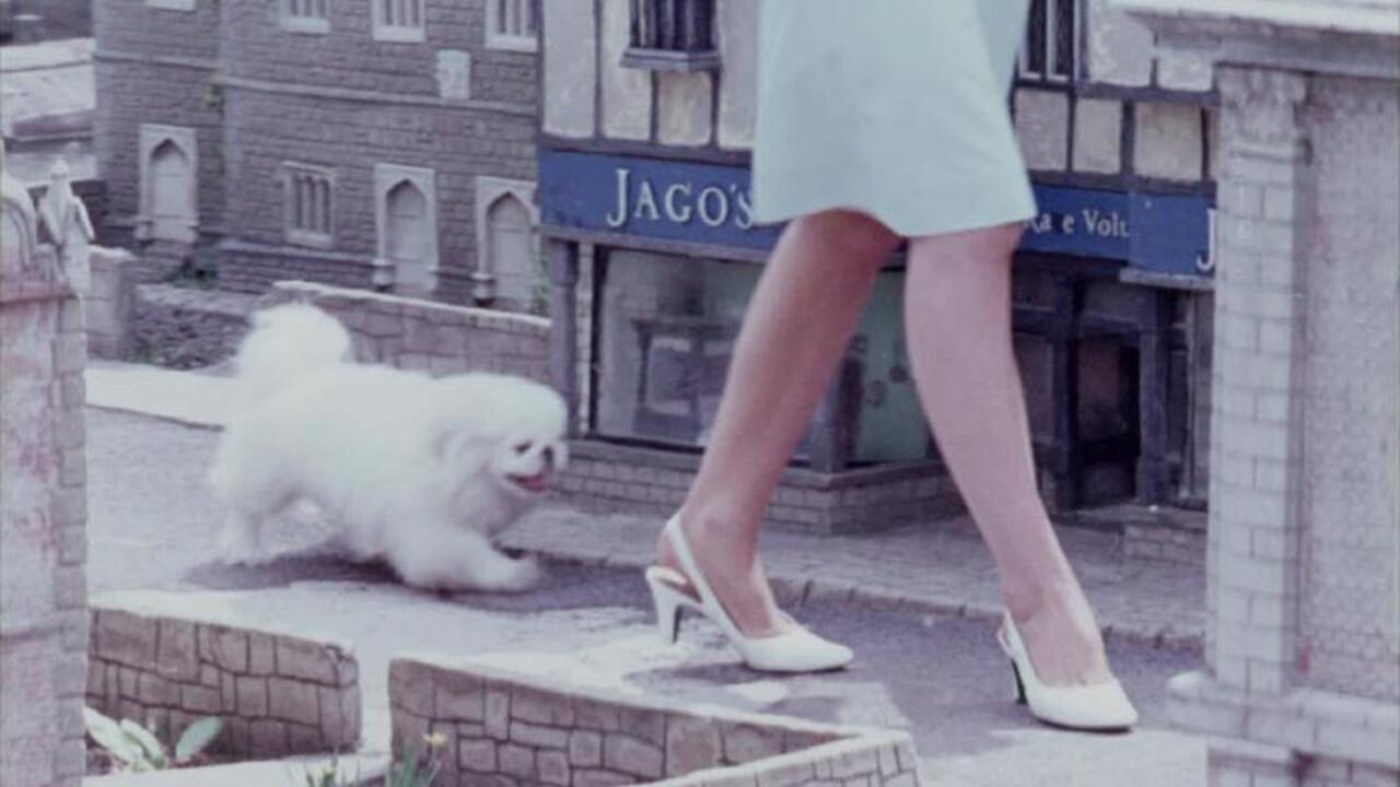 One Summer in Somerset 1968 movie scene