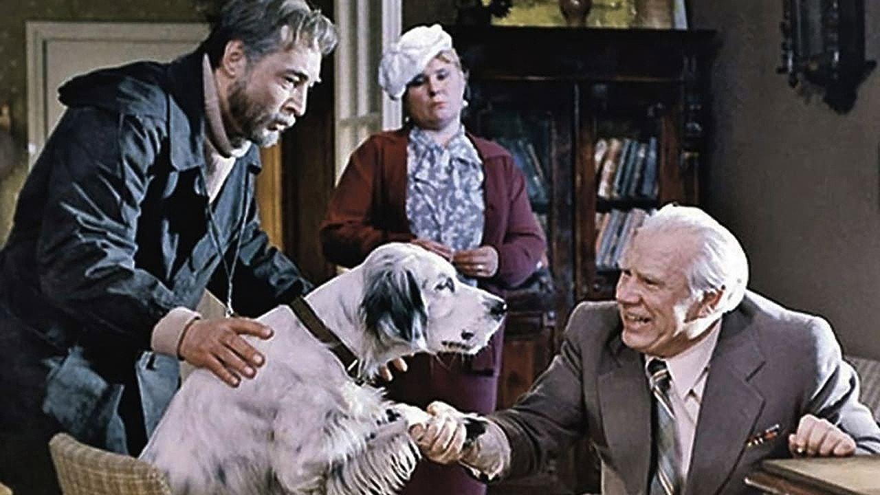 White Bim Black Ear 1977 movie scene