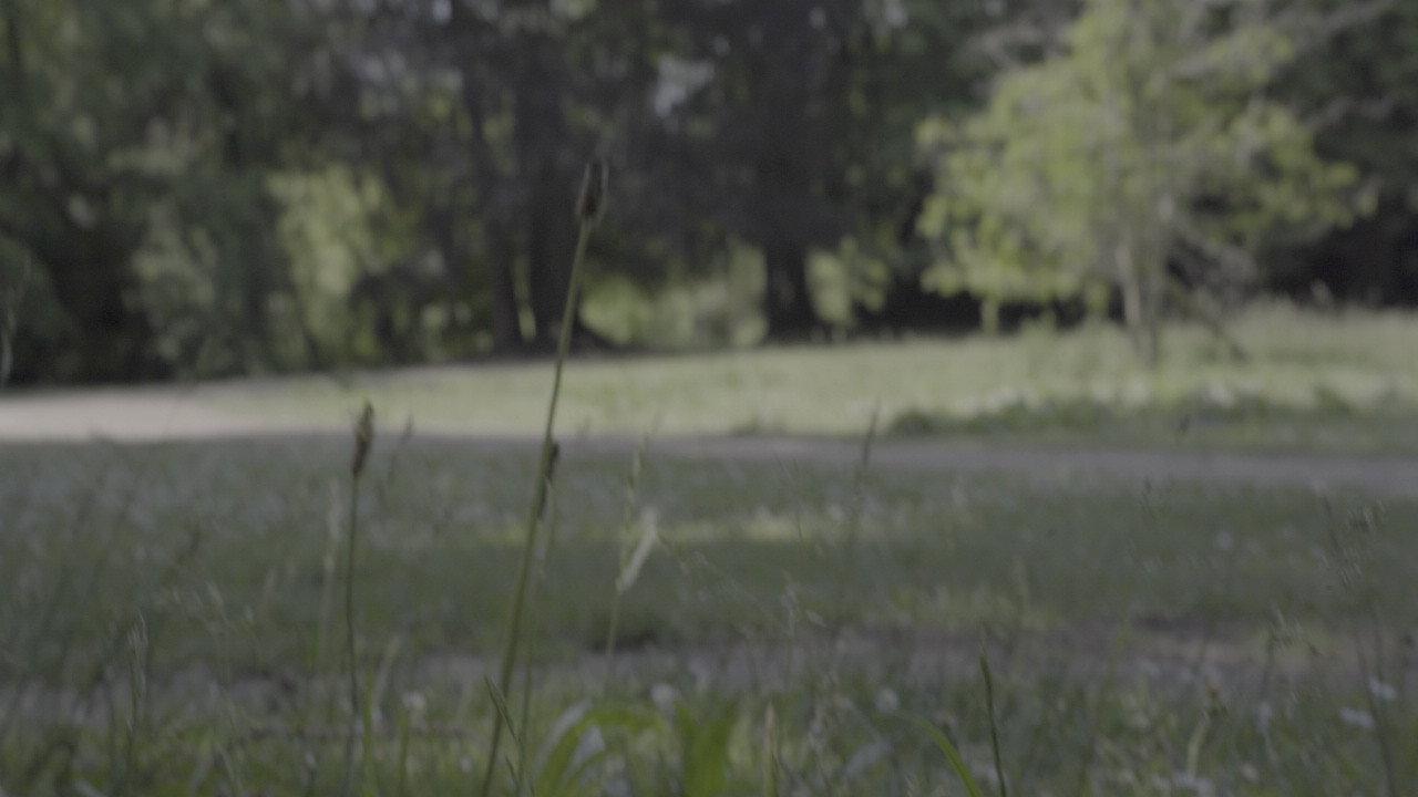 Le Zen 2024 movie scene