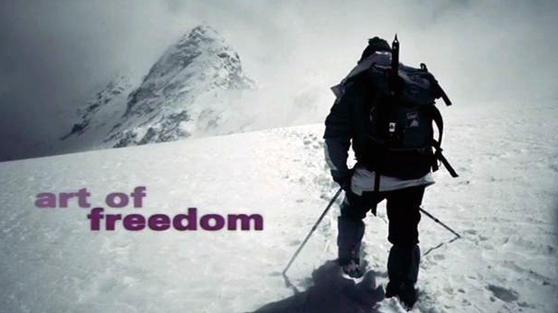 Art of Freedom 2011 movie scene