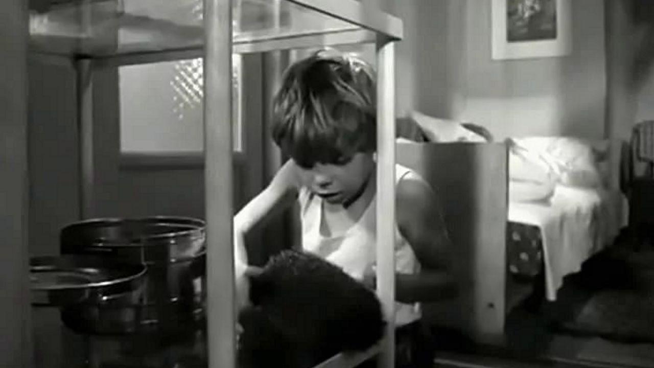 Fellows 1962 movie scene