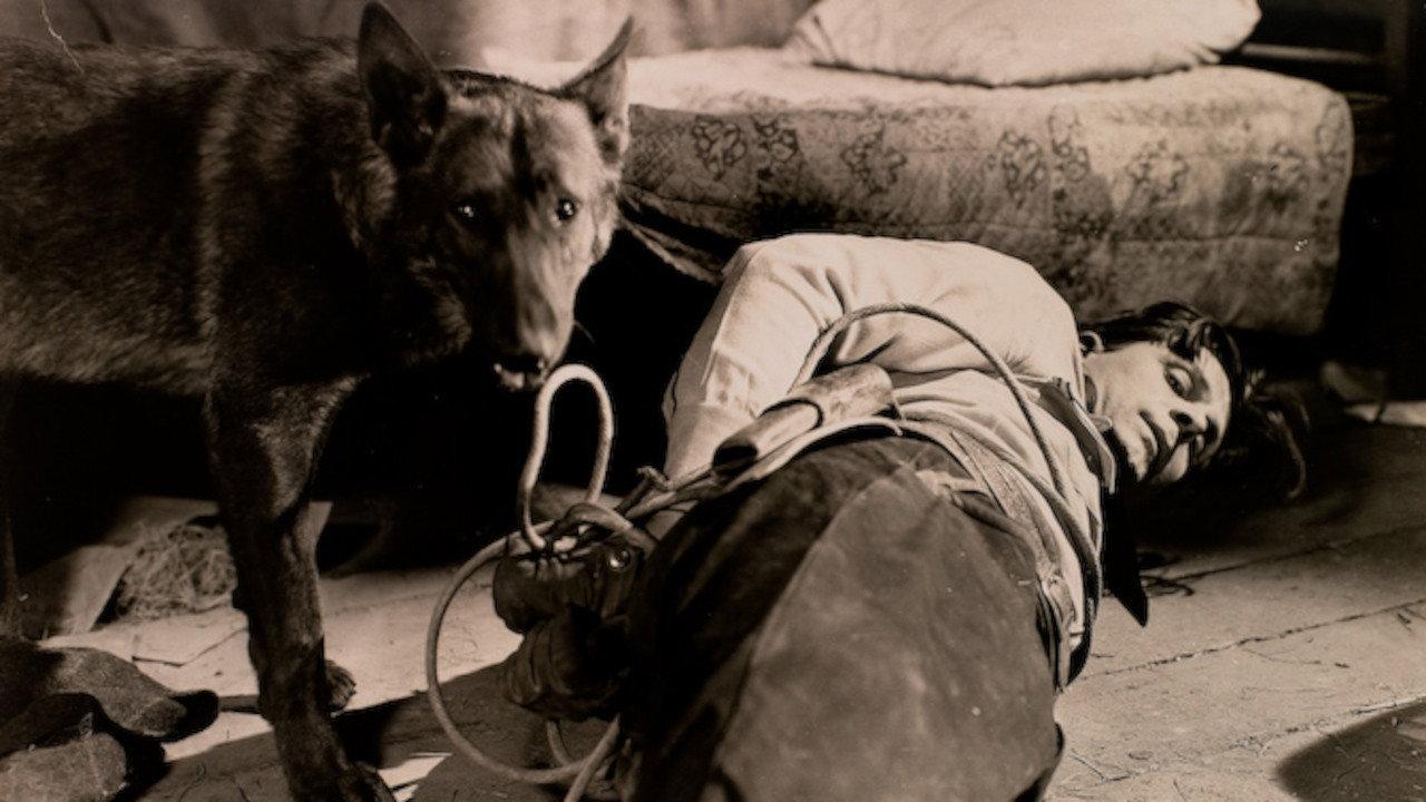 Fangs of Destiny 1927 movie scene