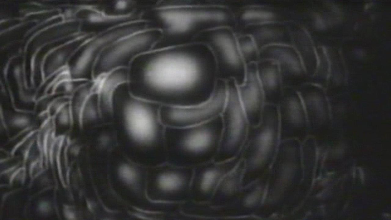 Modern Times: The Way of All Flesh 1997 movie scene
