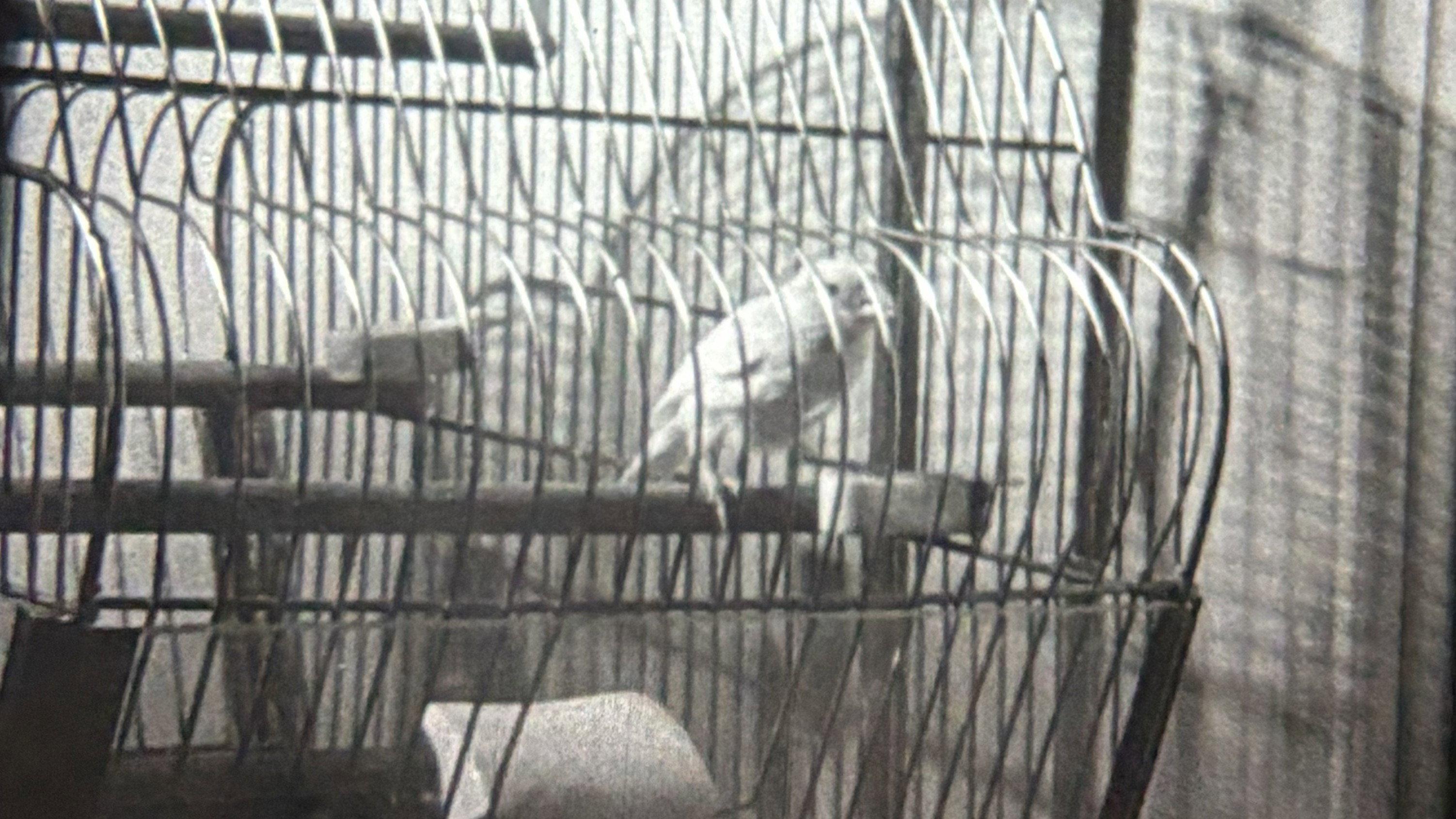 Nell and Fred 1971 movie scene
