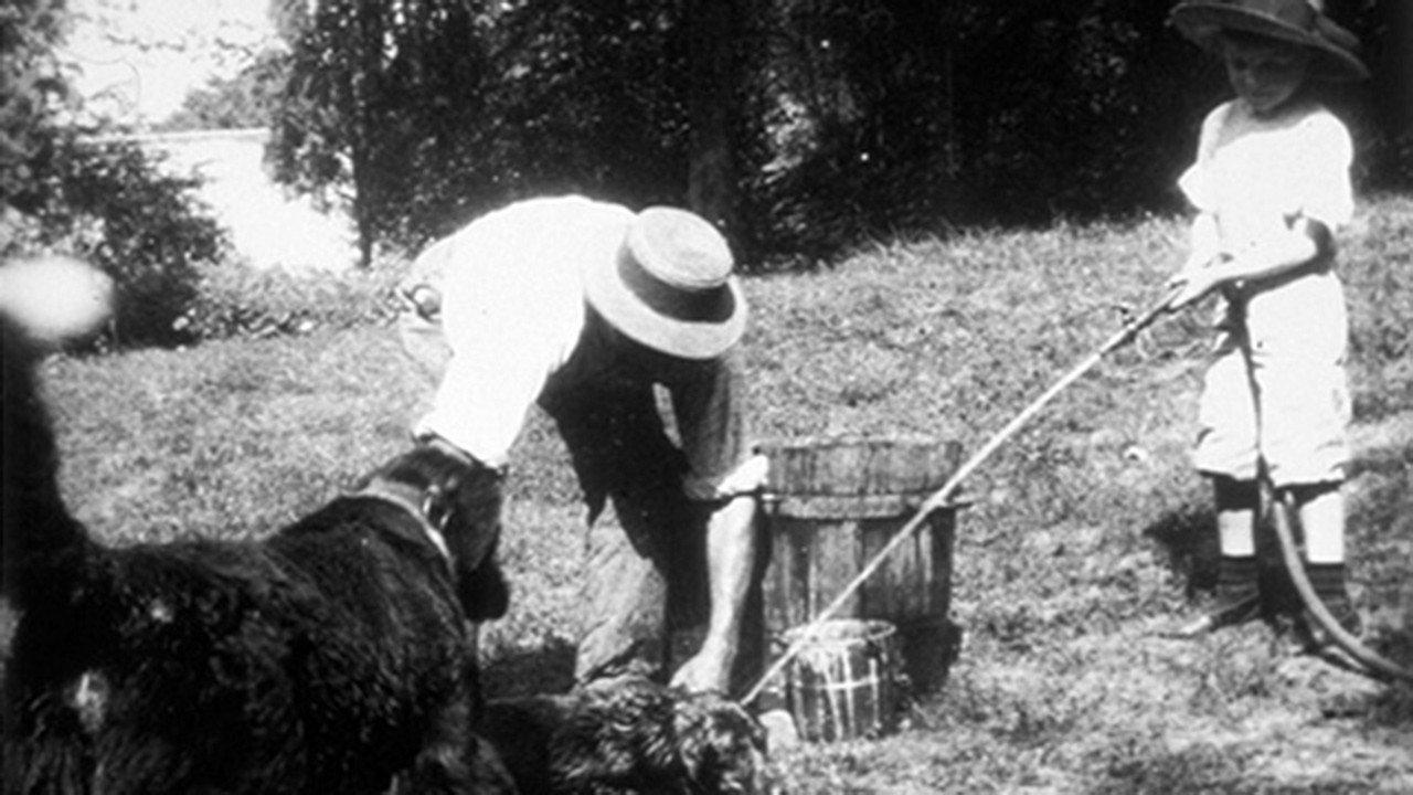 La toilette du petit chien 1900 movie scene