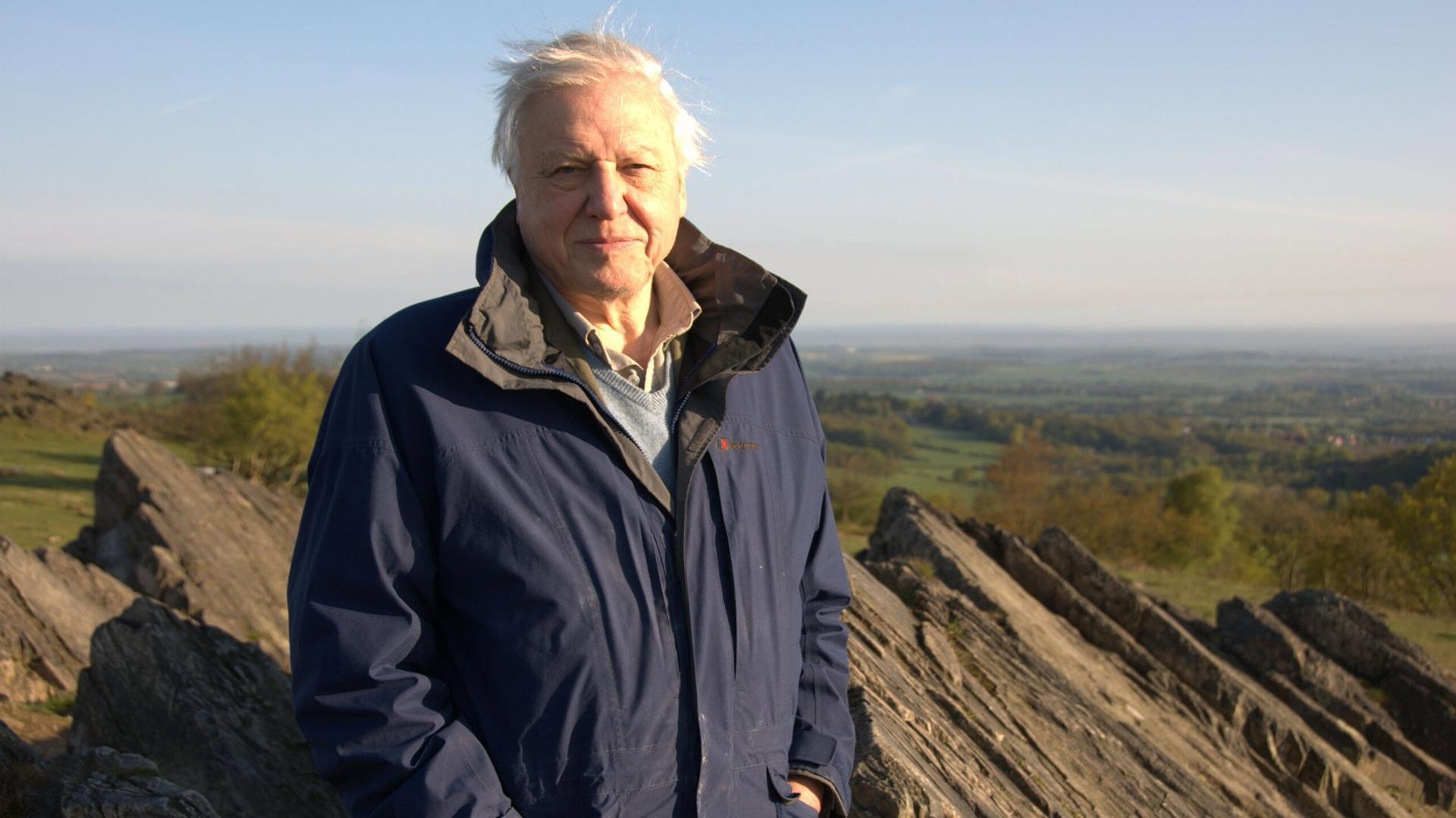 Attenborough's Life Journey 2024 movie scene