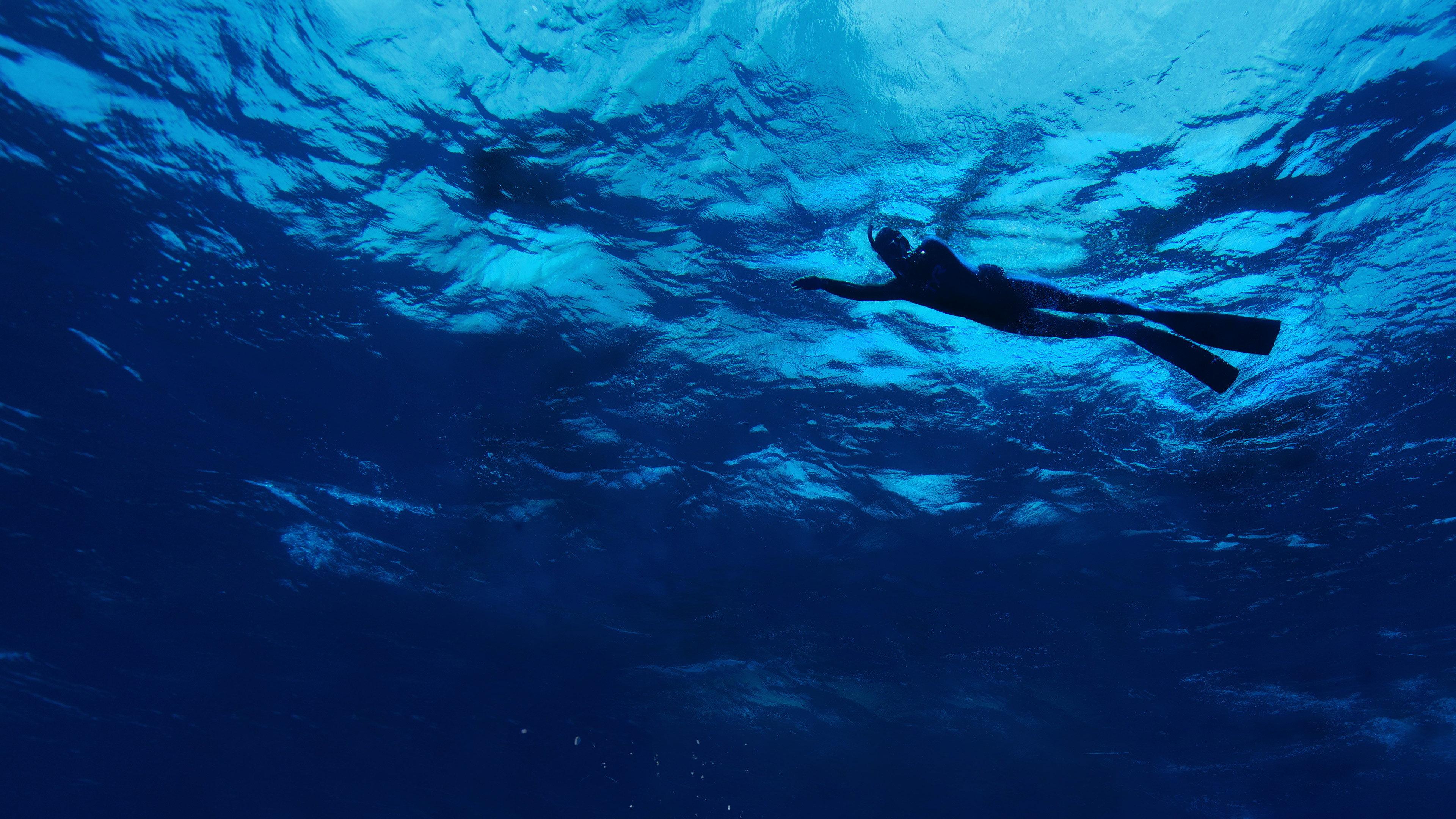 The Swim 2021 movie scene