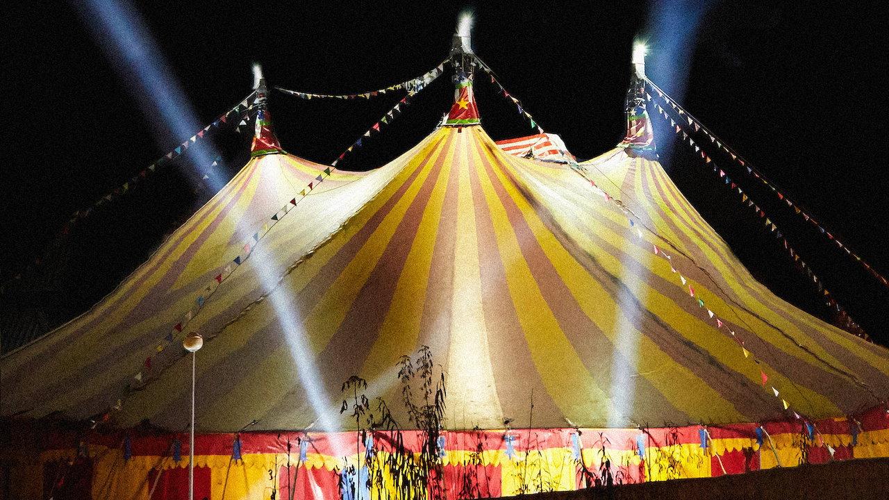 The Circus 2018 movie scene