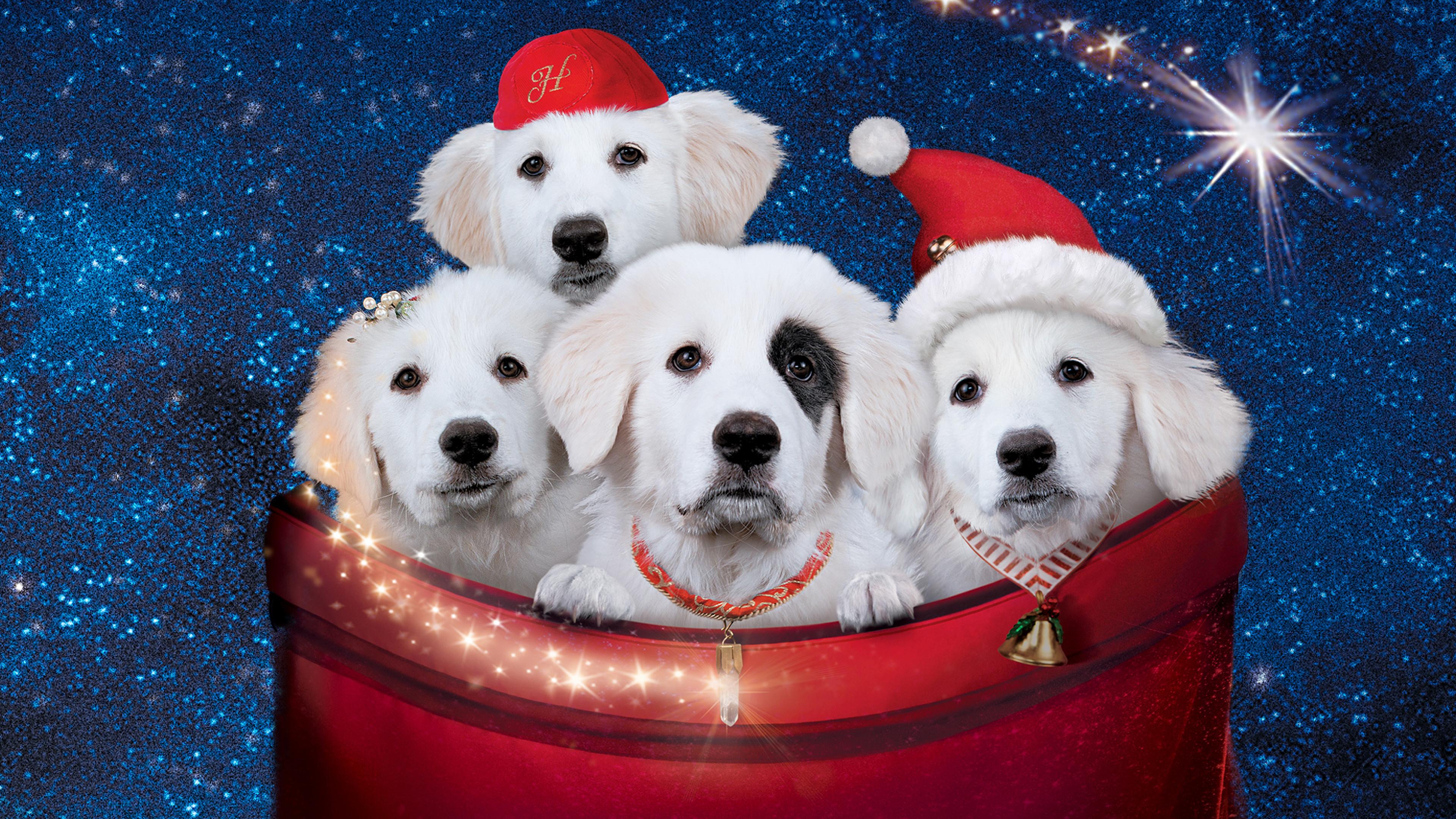 Santa Paws 2: The Santa Pups 2012 movie scene