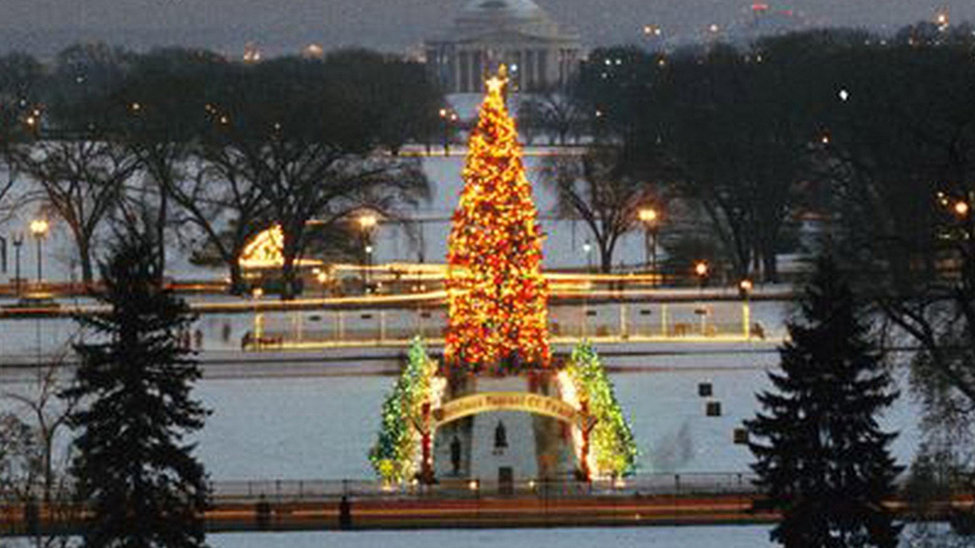 The National Christmas Tree, A Century of Celebration 2024 movie scene