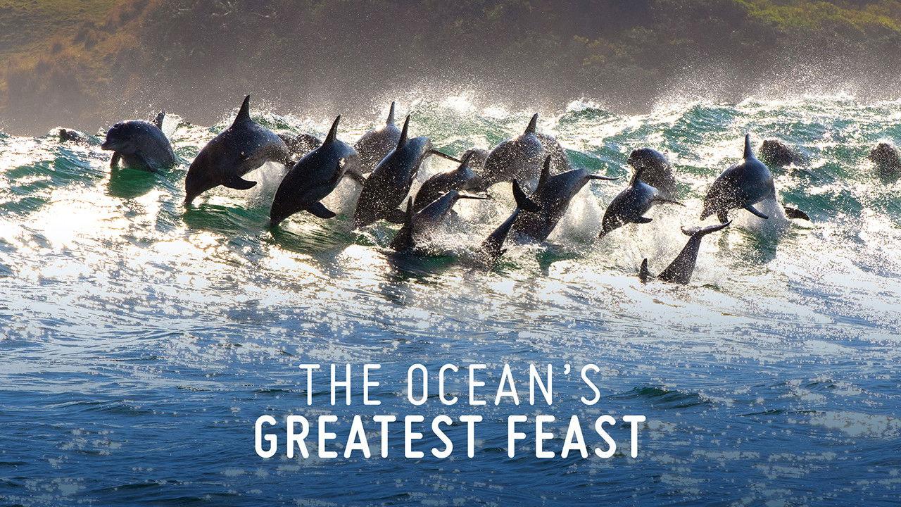 The Ocean’s Greatest Feast 2022 movie scene