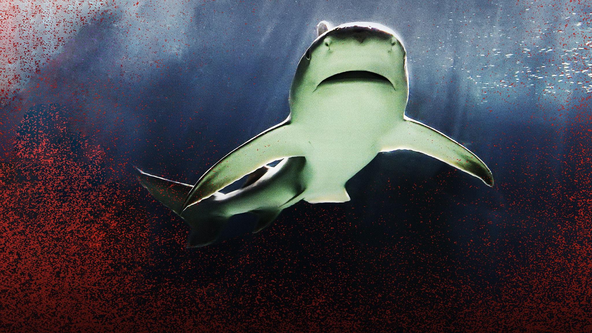 Raging Bull Shark 2020 movie scene