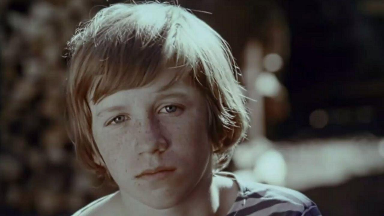 Neighbors 1979 movie scene