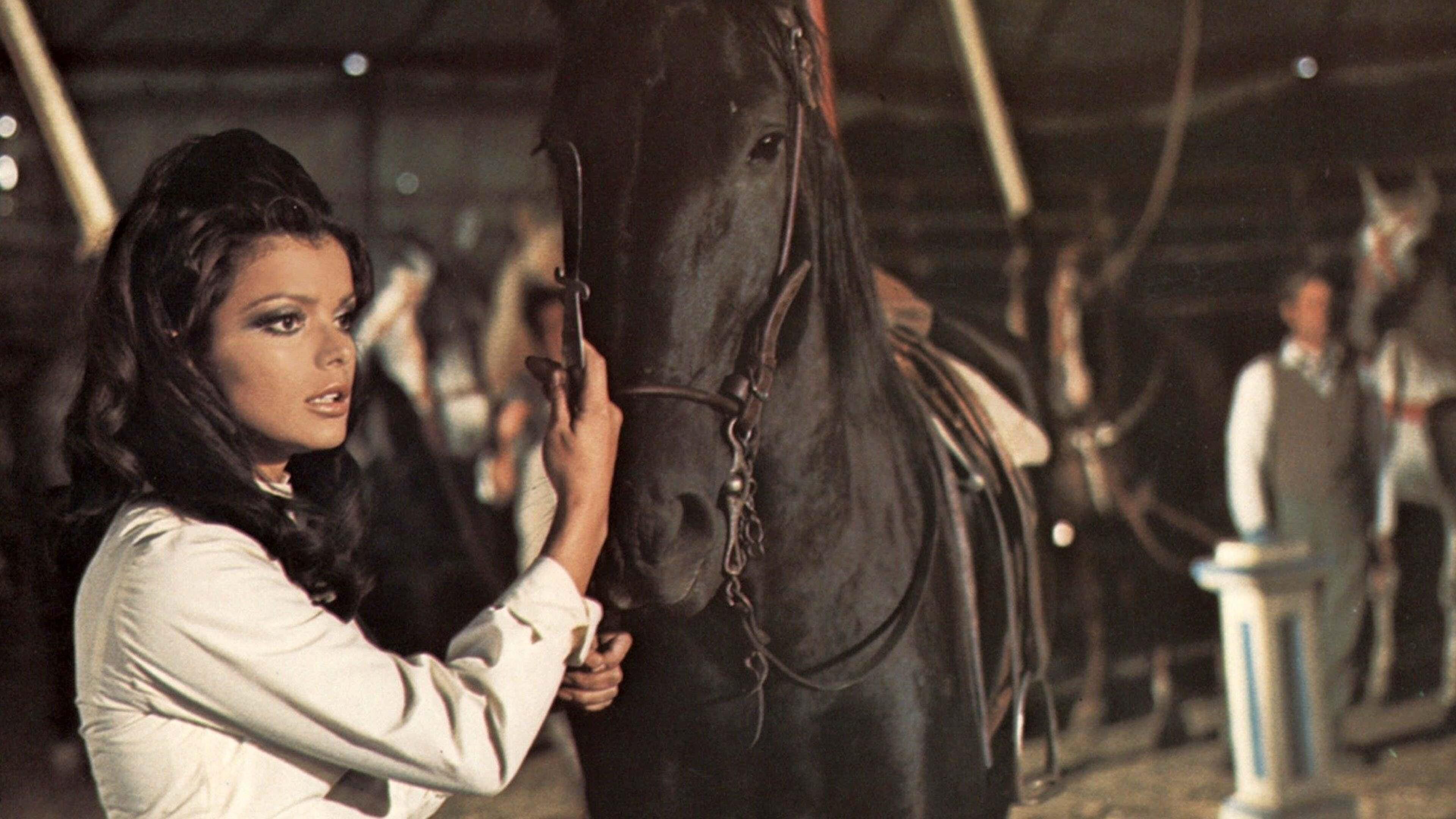 Black Beauty 1971 movie scene