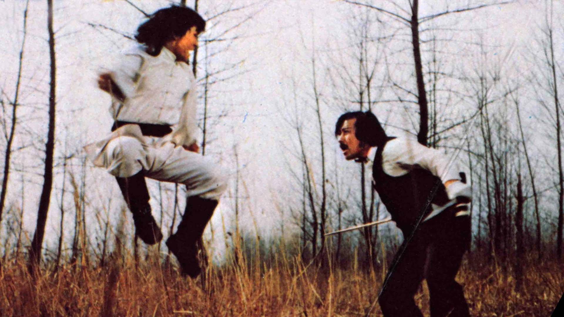 The Dragon, the Young Master 1978 movie scene