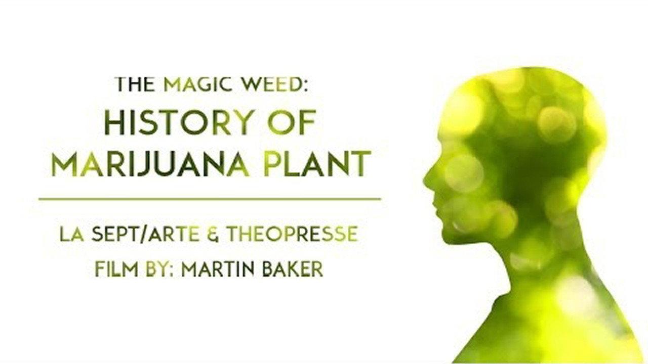 The Magic Weed: History of Marijuana Plant 1995 movie scene