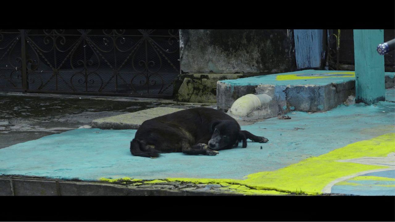 Rua da Felicidade 2024 movie scene