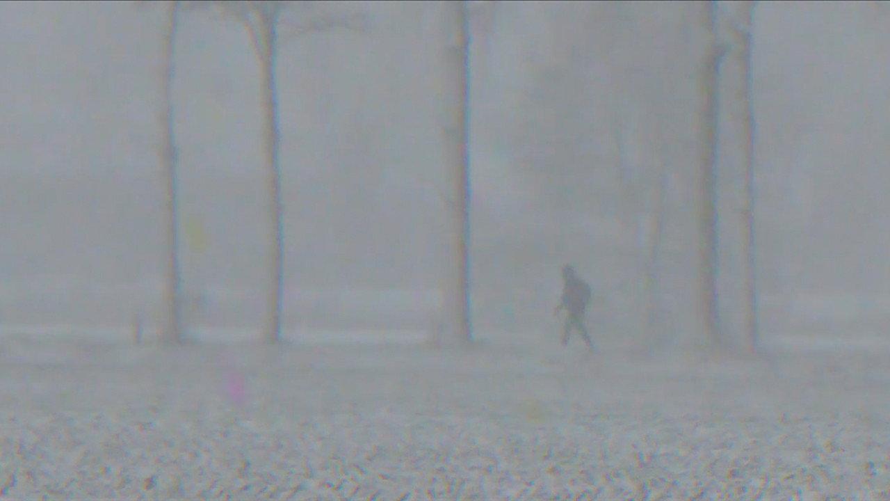 Midwinter Hue 2017 movie scene