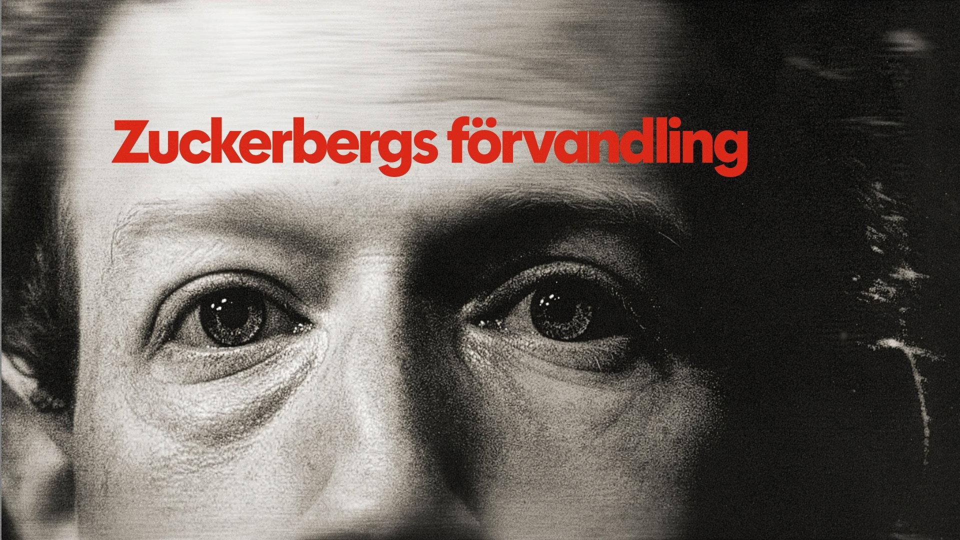 Zuckerberg, From Geek to Guru 2025 movie scene