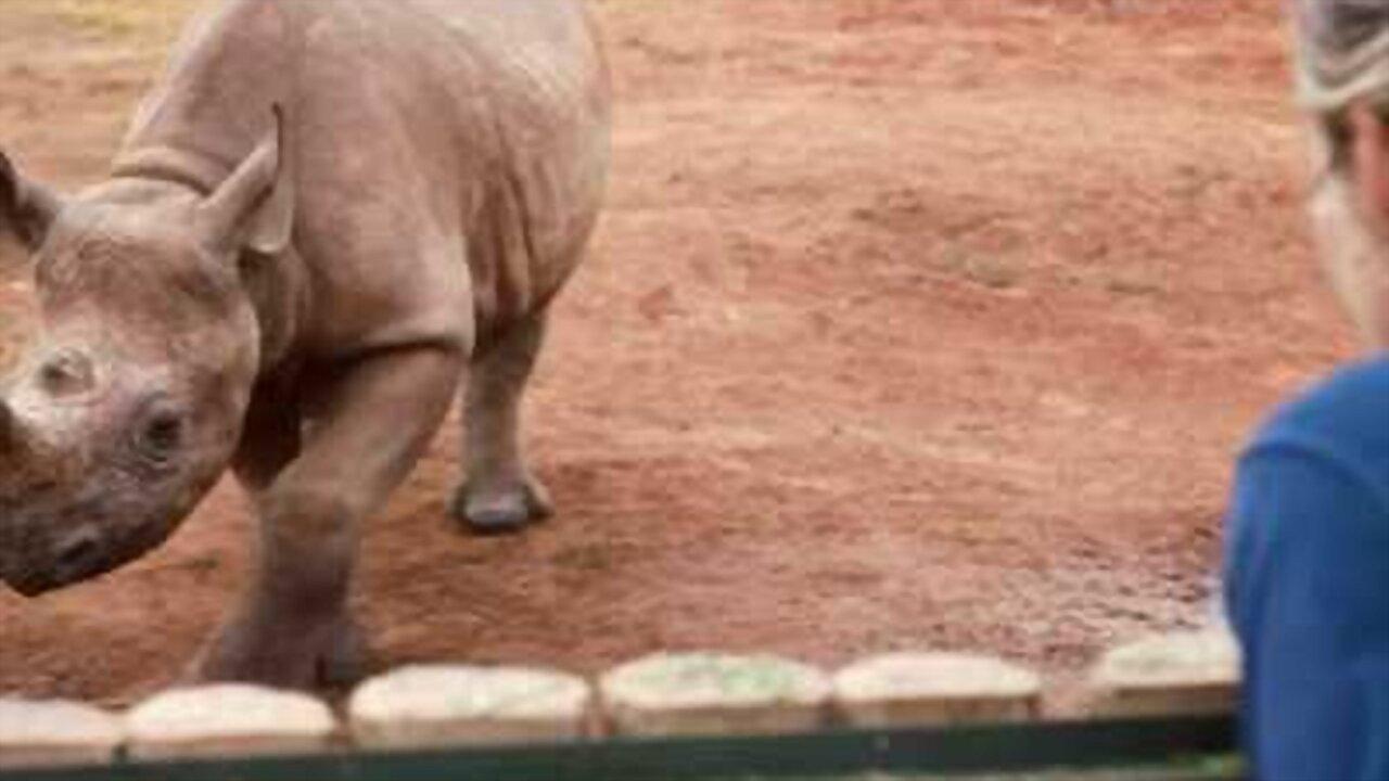 The Last Horns Of Africa 2021 movie scene