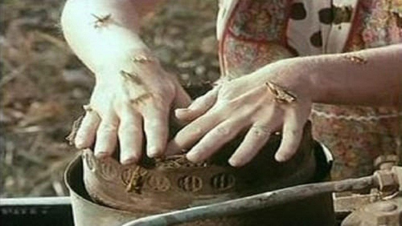 Locusts 1974 movie scene