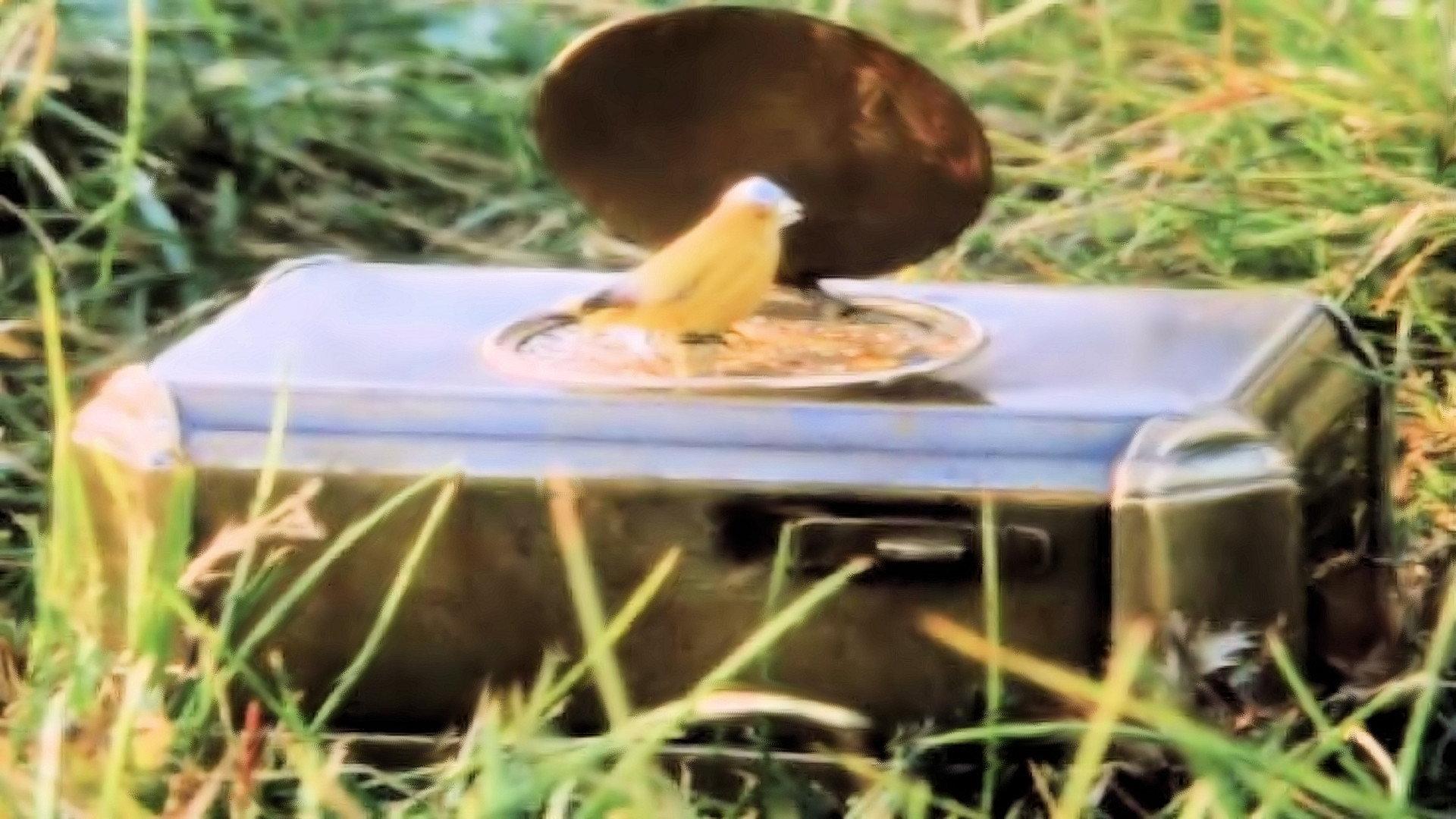 Land of Dreams 1988 movie scene