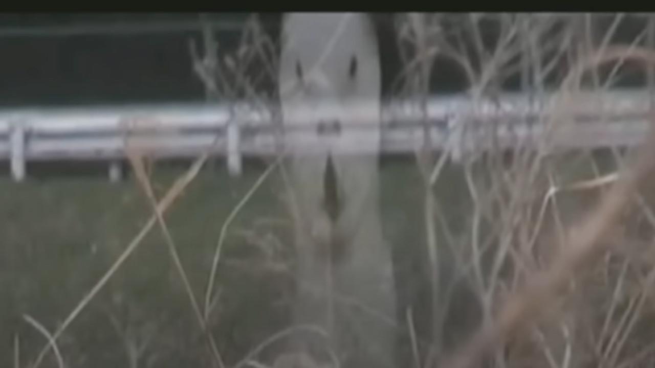 Cursed Psychic Video XXX 7 2017 movie scene