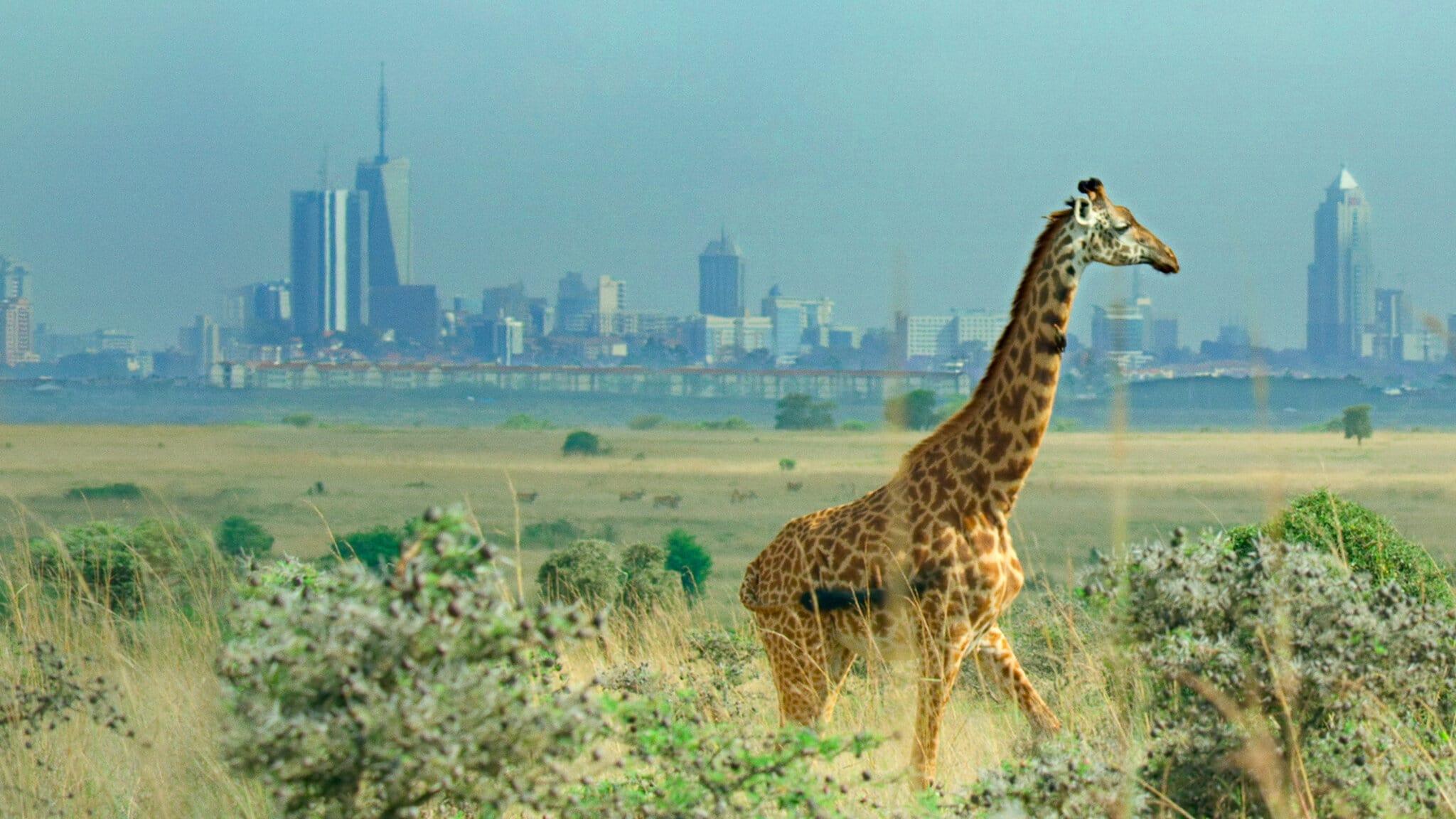 Breaking Boundaries: The Science of Our Planet 2021 movie scene