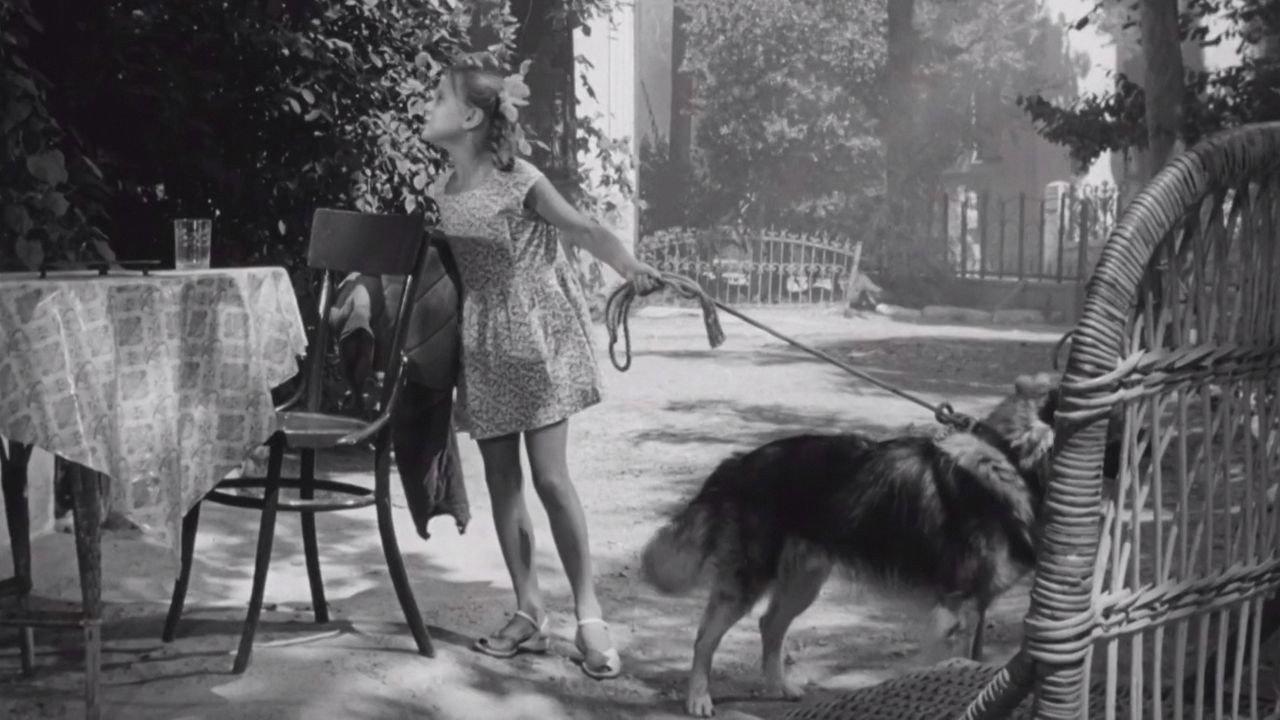 Trainers 1961 movie scene
