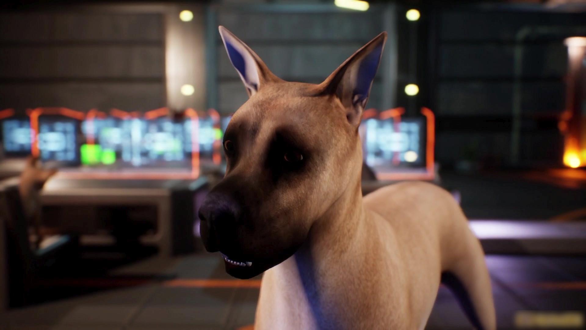Avenger Dogs 2019 movie scene