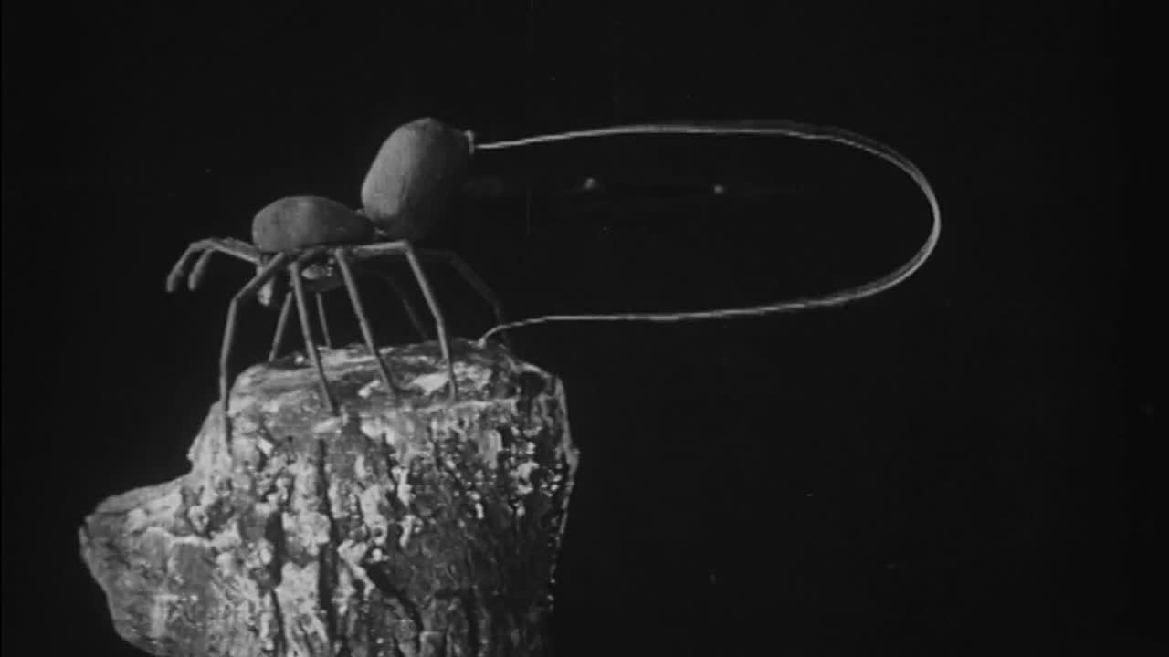 To Demonstrate How Spiders Fly 1909 movie scene