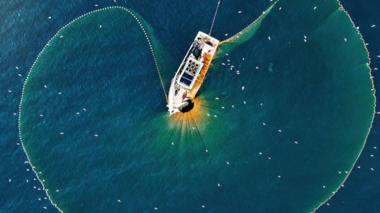 Full Tuna 2011 movie scene