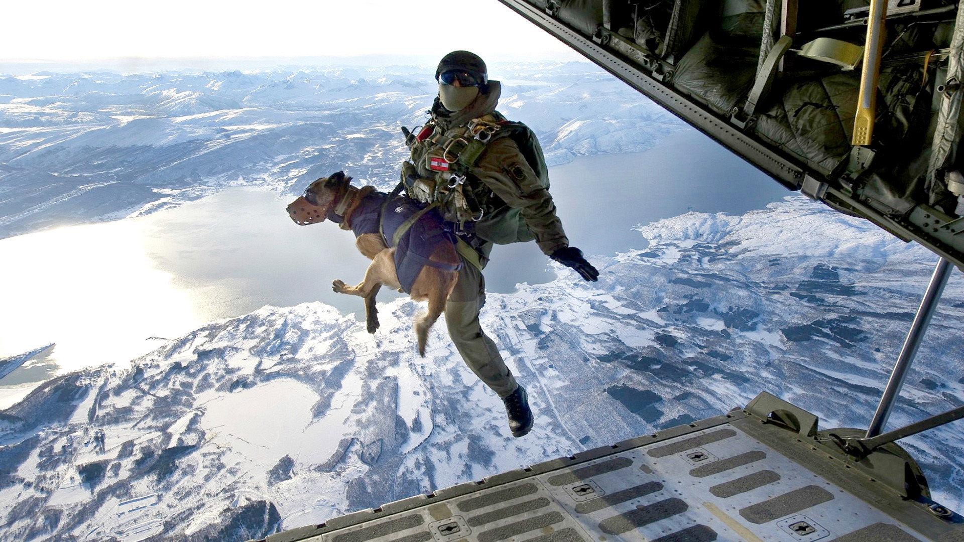 SEAL Dog 2015 movie scene