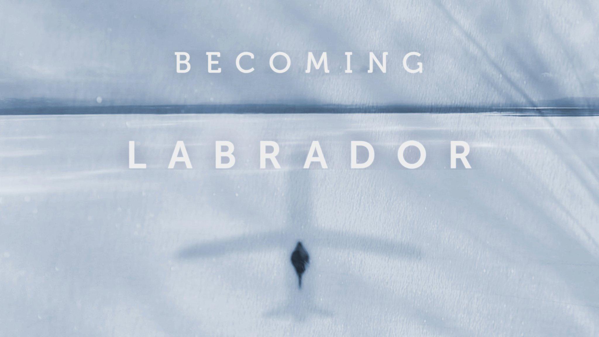 Becoming Labrador 2019 movie scene