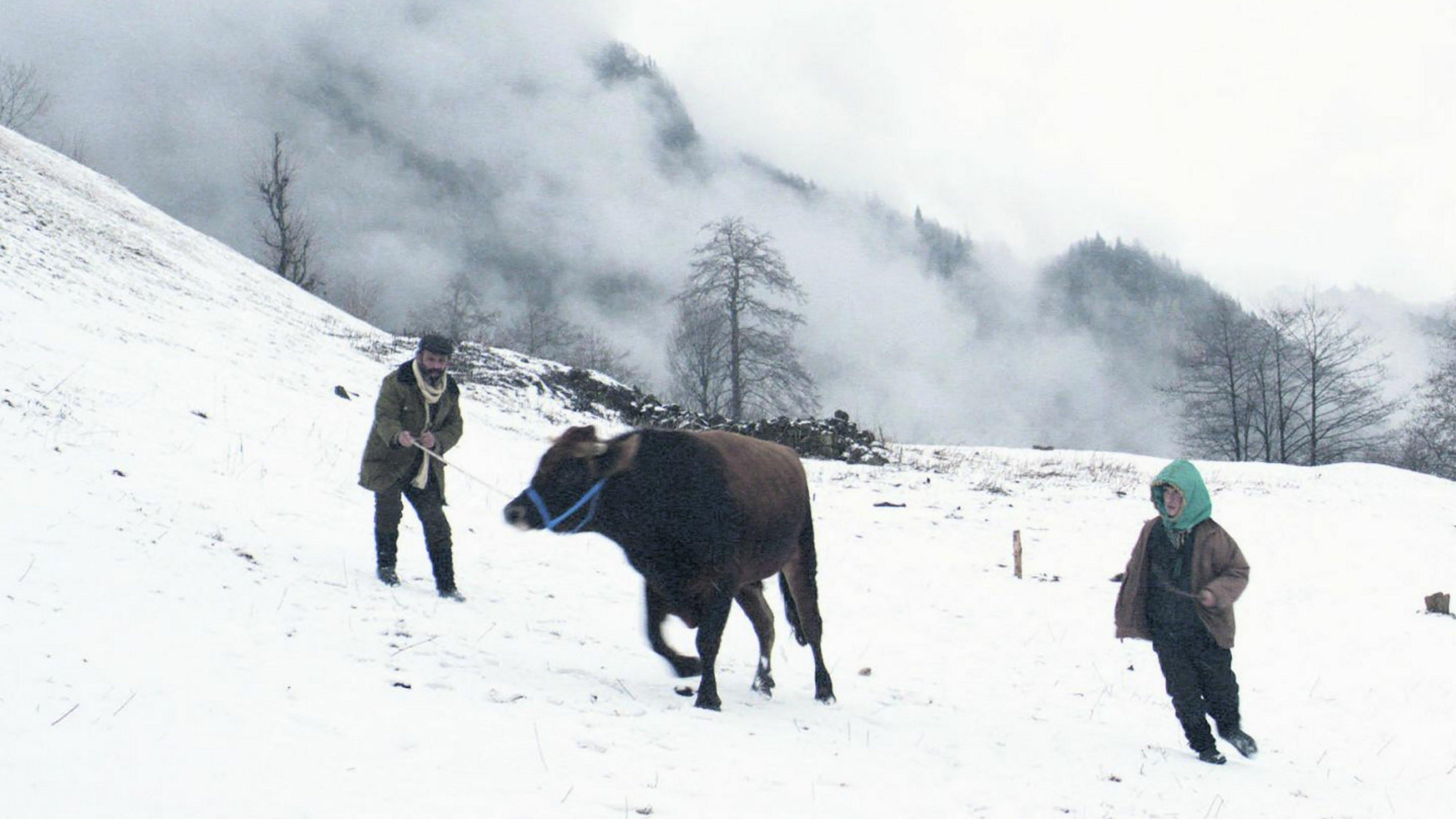 Cold of Kalandar 2016 movie scene