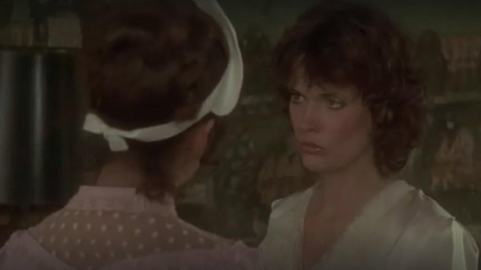 Secrets of the Satin Blues 1981 movie scene