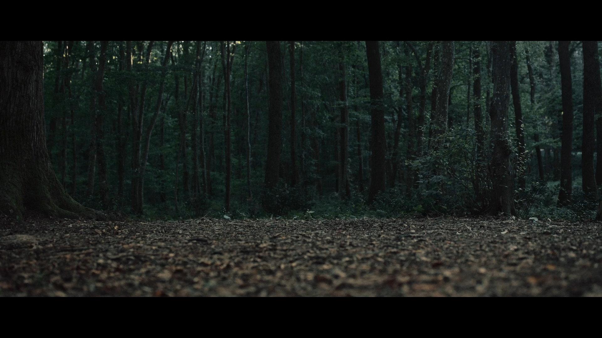 Truffle 2024 movie scene