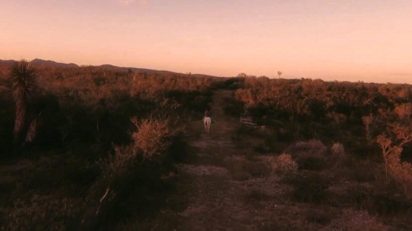 Vaqueros 2024 movie scene