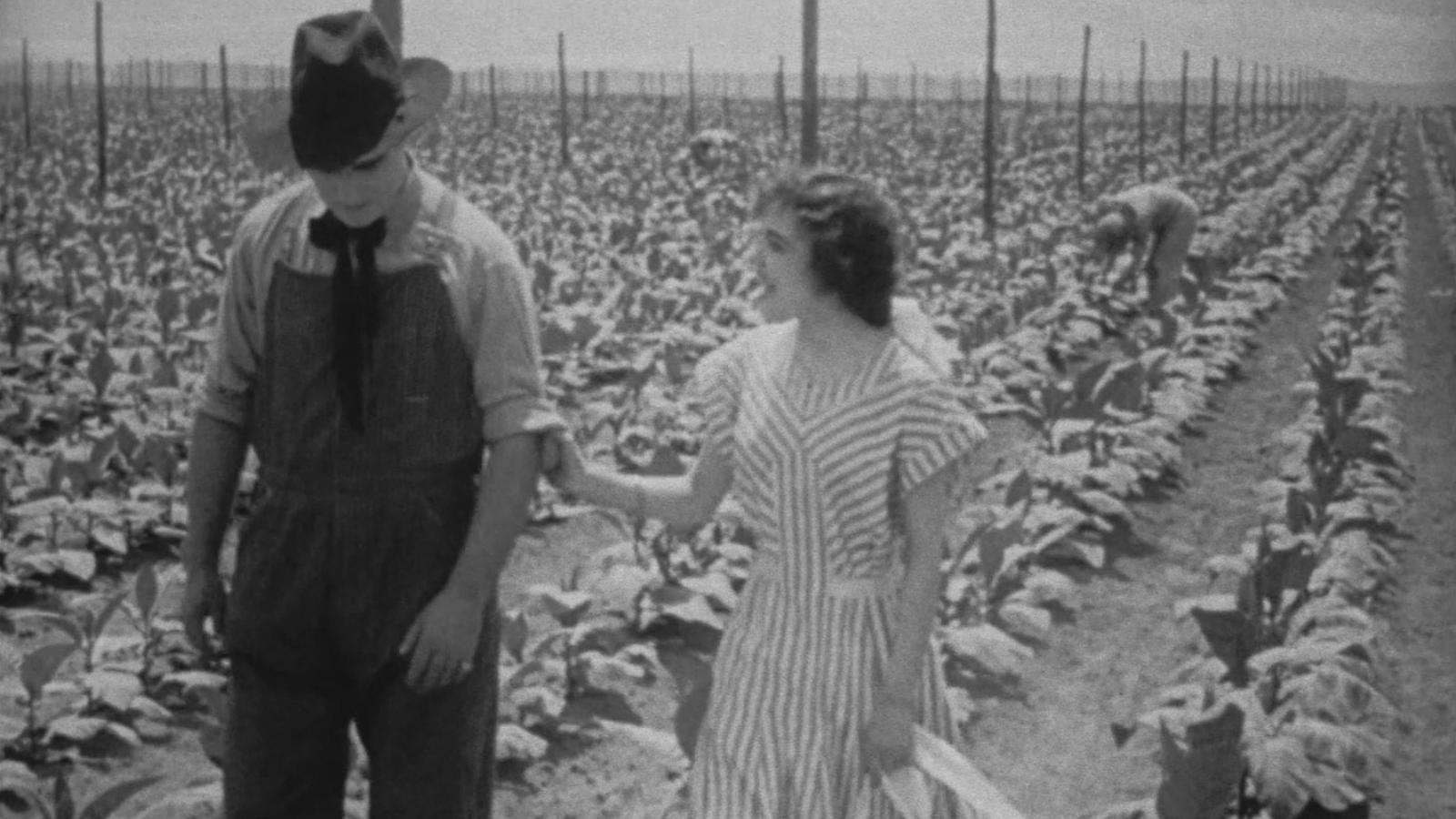 The Rose of Kentucky 1911 movie scene