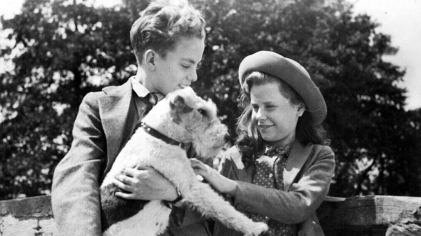 They Were Sisters 1945 movie scene