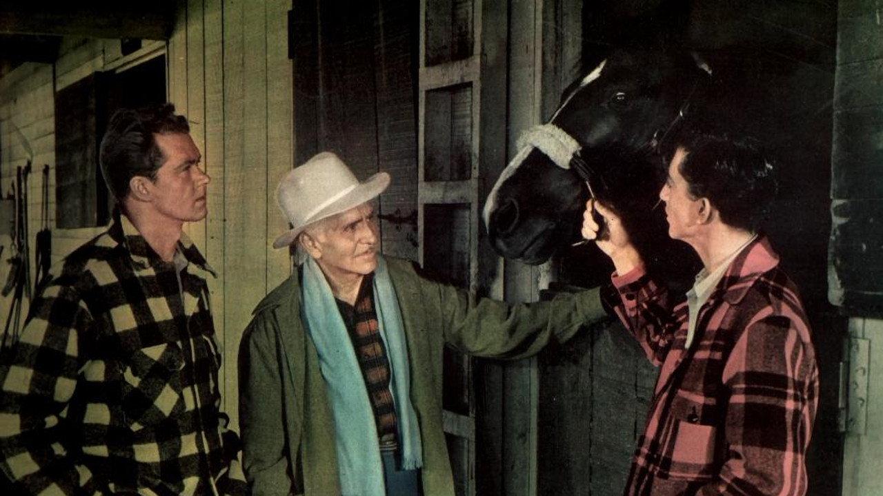 Blue Grass of Kentucky 1950 movie scene