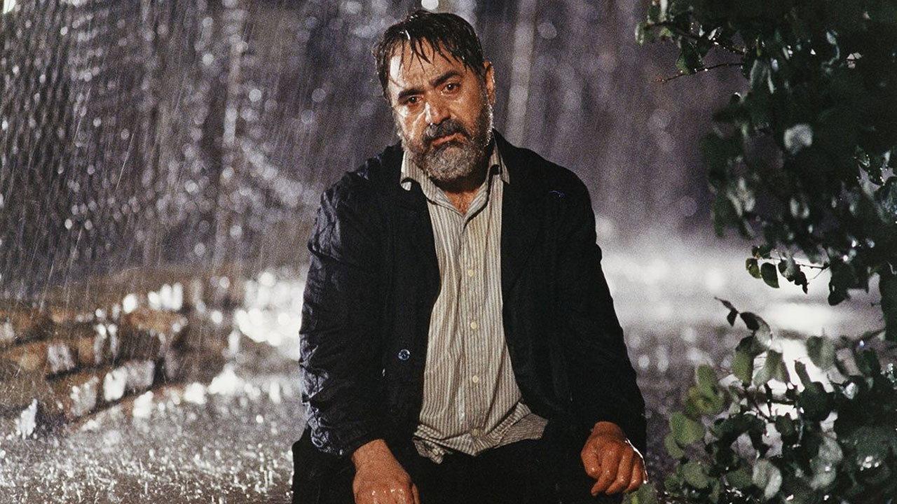 The Willow Tree 2005 movie scene