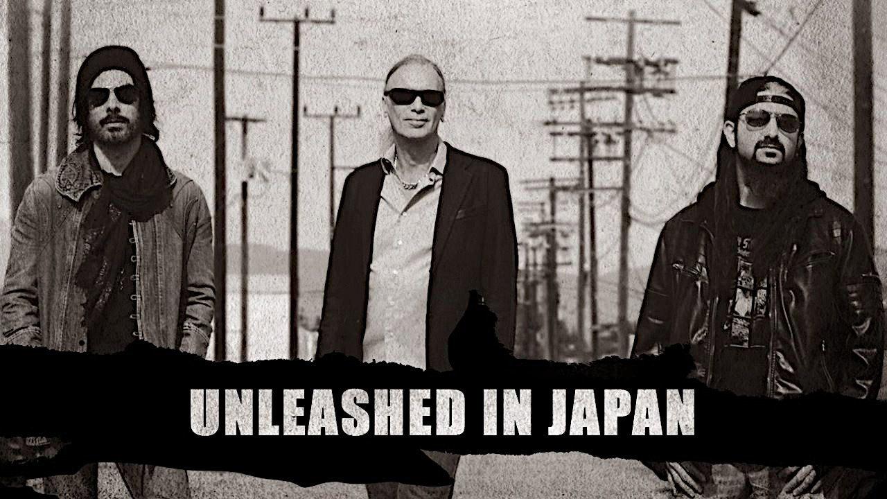 The Winery Dogs - Unleashed in Japan 2014 movie scene